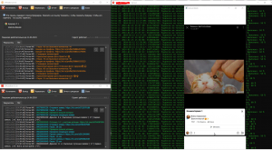 1726146283023.png 1726146283023.png